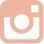 Image module