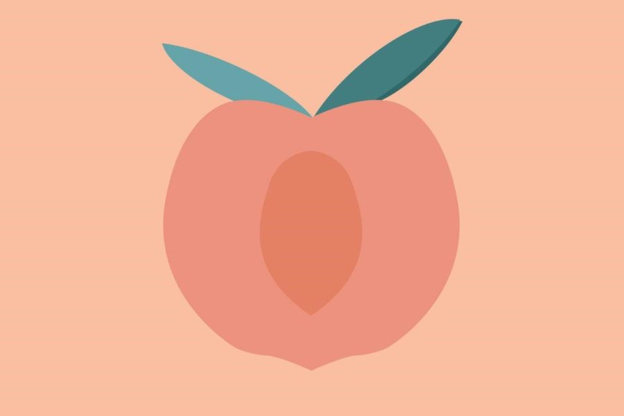 (Let’s) Talk Peach – Wilson Trollope